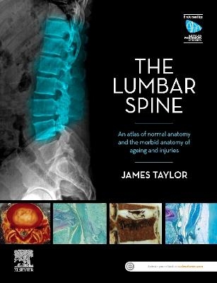 The Lumbar Spine - James Taylor