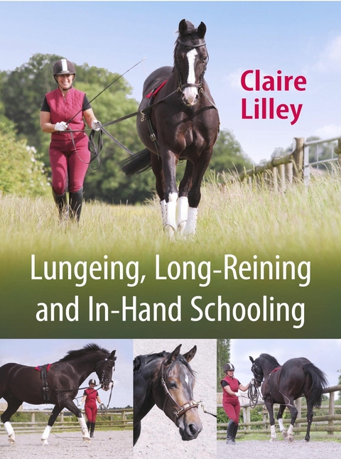 Lungeing, Long-Reining and In-Hand Schooling -  Claire Lilley