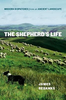 The Shepherd's Life - James Rebanks