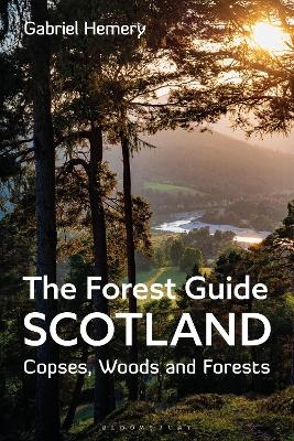 The Forest Guide: Scotland - Gabriel Hemery