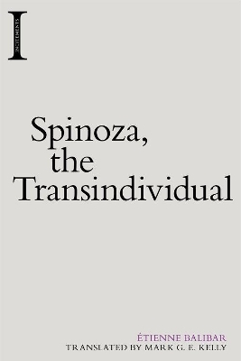 Spinoza, the Transindividual - Etienne Balibar
