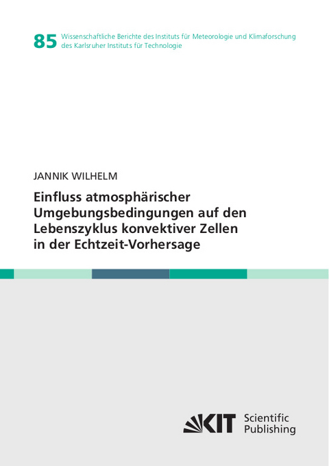 Einfluss atmosphärischer Umgebungsbedingungen auf den Lebenszyklus konvektiver Zellen in der Echtzeit-Vorhersage - Jannik Wilhelm