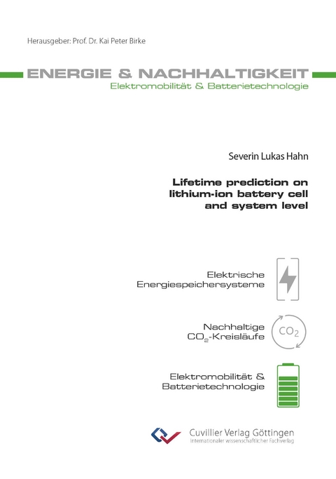 Lifetime prediction on lithium-ion battery cell and system level - Severin Lukas Hahn