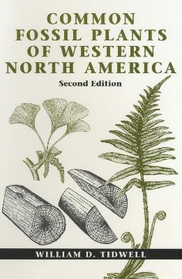 Common Fossil Plants of Western North America - William D. Tidwell