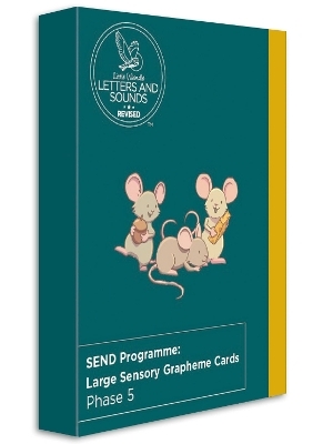 SEND Programme: Large Sensory Grapheme Cards -  Wandle Learning Trust and Little Sutton Primary School