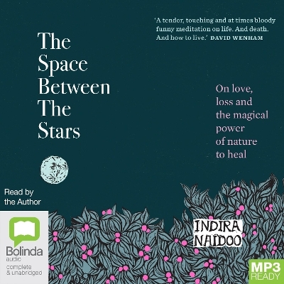 The Space Between the Stars - Indira Naidoo