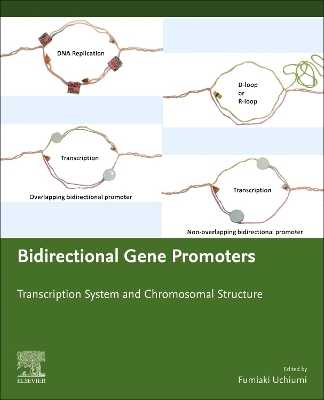 Bidirectional Gene Promoters - Fumiaki Uchiumi