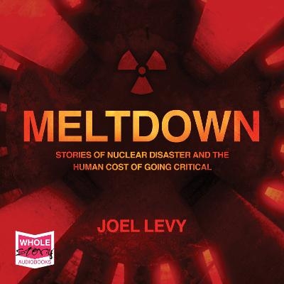 Meltdown - Joel Levy