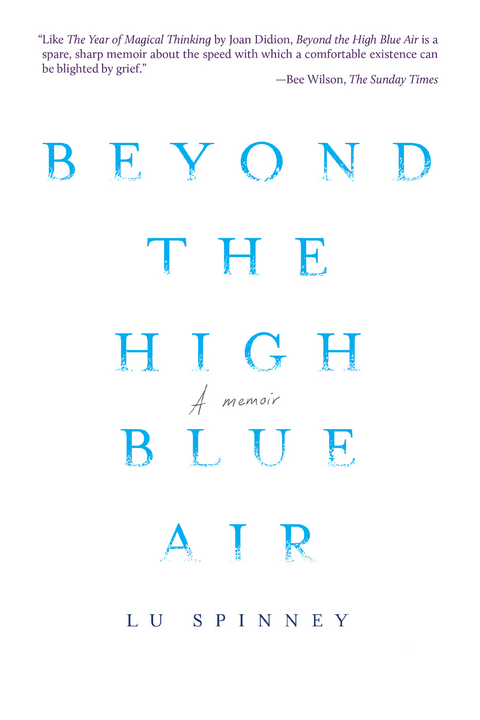 Beyond the High Blue Air -  Lu Spinney