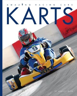 Amazing Racing Cars: Karts - Ashley Gish