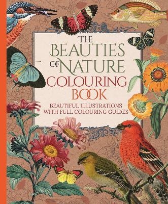 The Beauties of Nature Colouring Book - Tansy Willow