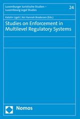 Studies on Enforcement in Multilevel Regulatory Systems - 