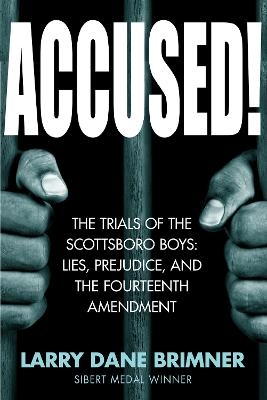 Accused! - Larry Dane Brimner