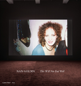 This Will Not End Well - Nan Goldin