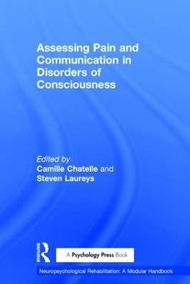 Assessing Pain and Communication in Disorders of Consciousness - 