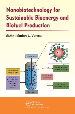 Nanobiotechnology for Sustainable Bioenergy and Biofuel Production - 