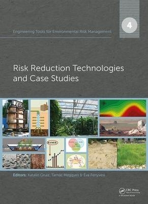 Engineering Tools for Environmental Risk Management - 