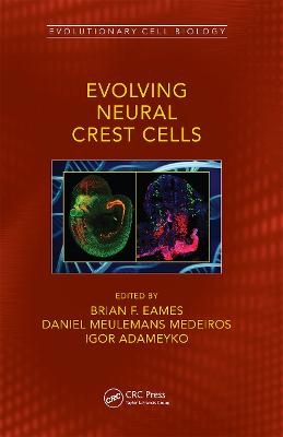 Evolving Neural Crest Cells - 