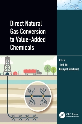 Direct Natural Gas Conversion to Value-Added Chemicals - 