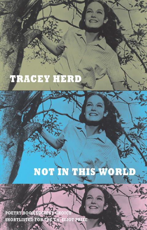 Not in This World -  Tracey Herd