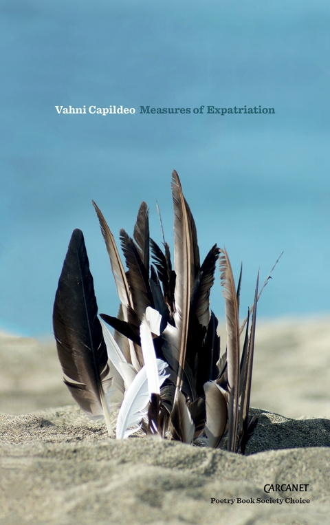 Measures of Expatriation - Vahni Capildeo