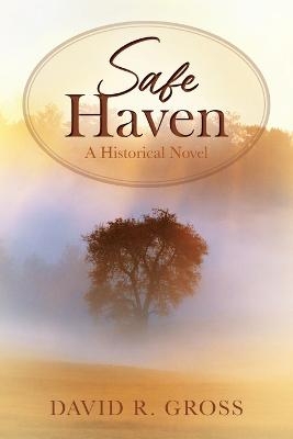 Safe Haven - David R Gross