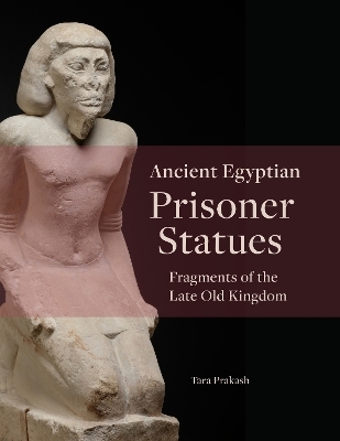 Ancient Egyptian Prisoner Statues - Tara Prakash