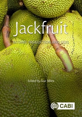 Jackfruit - 