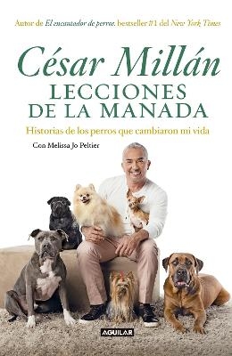 Lecciones de la manada / Cesar Millan's Lessons From the Pack - Cesar Millan