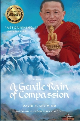 A Gentle Rain of Compassion - David R Shlim