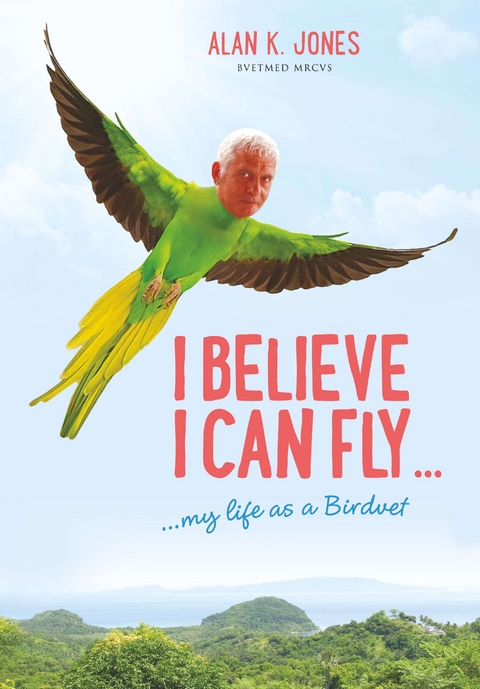 I Believe I Can Fly -  Alan K Jones