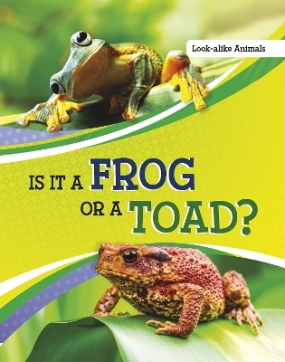 Is It a Frog or a Toad? - Susan B. Katz