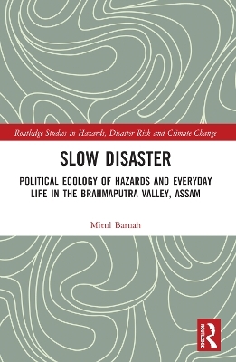 Slow Disaster - Mitul Baruah