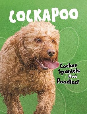 Cockapoo - Paula M. Wilson