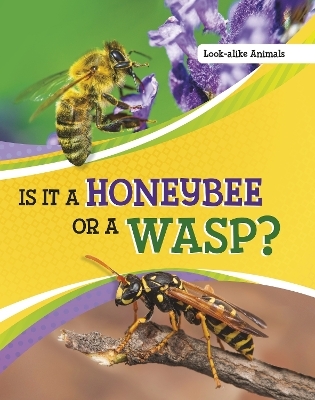 Is It a Honeybee or a Wasp? - Susan B. Katz