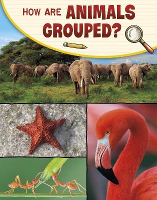 How Are Animals Grouped? - Lisa M. Bolt Simons