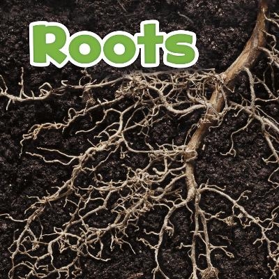 Roots - Marissa Kirkman