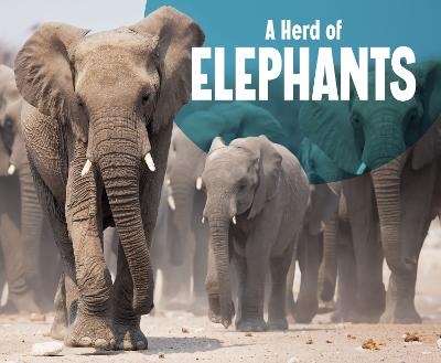 A Herd of Elephants - Amy Kortuem