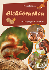 Eichhörnchen - Svenja Ernsten