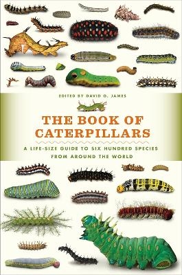 The Book of Caterpillars - 