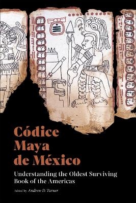 Codice Maya de Mexico - 