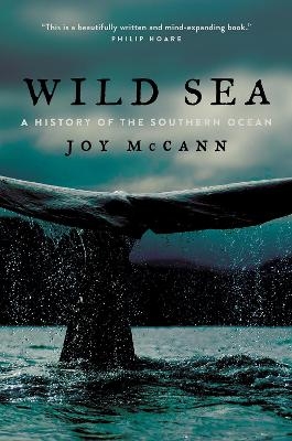 Wild Sea - Joy McCann