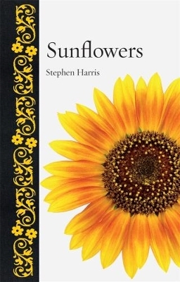 Sunflowers - Stephen A. Harris