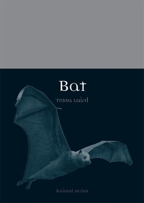 Bat - Tessa Laird