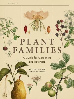 Plant Families - Ross Bayton