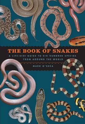 The Book of Snakes - Mark O'Shea