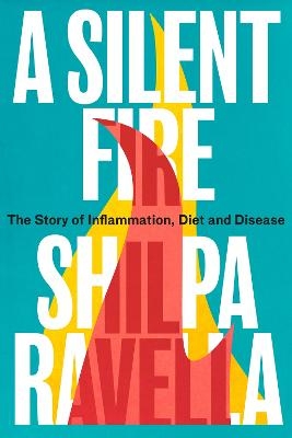 A Silent Fire - Shilpa Ravella