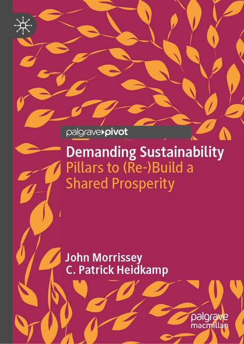 Demanding Sustainability - John Morrissey, C. Patrick Heidkamp