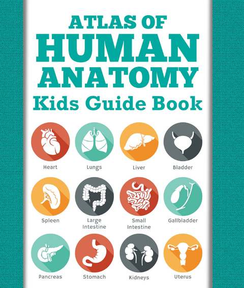 Atlas Of Human Anatomy: Kids Guide Book - Speedy Publishing LLC