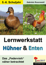 Lernwerkstatt Hühner und Enten / Sekundarstufe - Gabriela Rosenwald